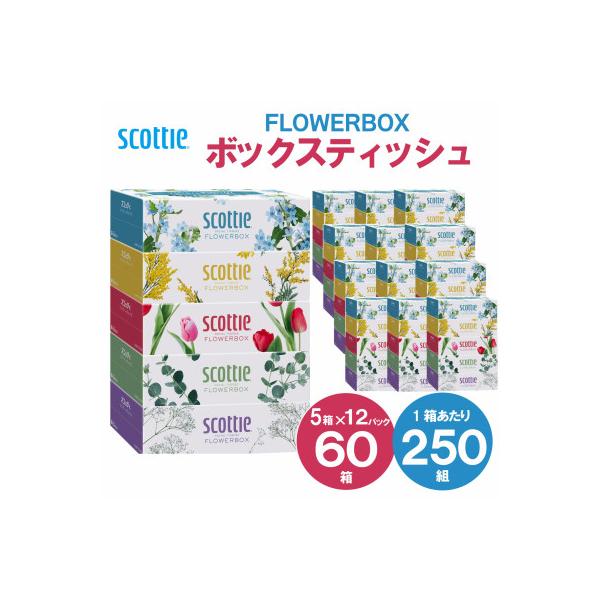 【ボックスティッシュ】スコッティティシューフラワーボックス250組60箱(1ケース5箱×12パック)