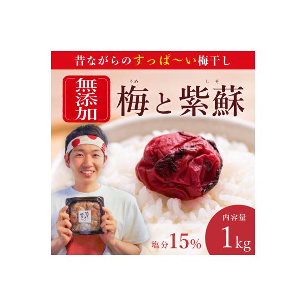 【無添加梅干し】天日塩と紫蘇だけで漬けた梅干し　梅ボーイズ|南高梅