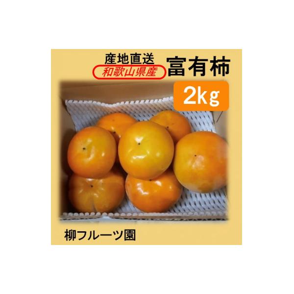 柿【先行受付】柳フルーツ園 富有柿 約2kg