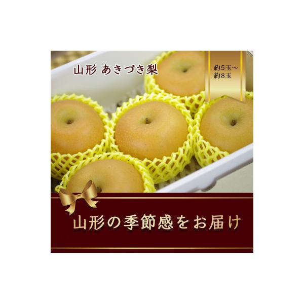 ■お礼品詳細　・配送種別：冷蔵便　・提供元：株式会社　浜中屋■お申し込み・配送・その他　・発送時期：2026-09-15〜2026-11-30　・申込受付期間：〜2026-11-15　・配達外のエリア：離島　・寄付証明書の送付時期目安：申込...