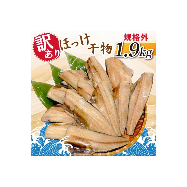 【訳あり】規格外　ほっけ干物　1.9kg