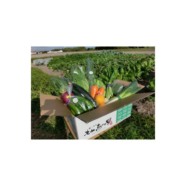 ■お礼品詳細　・配送種別：冷蔵便　・提供元：一般財団法人大山恵みの里公社■お申し込み・配送・その他　・発送時期：2026-01-14より順次発送 ※生産・天候・交通等の事情により遅れる場合があります。(お届け時間帯指定可)　・申込受付期間：...