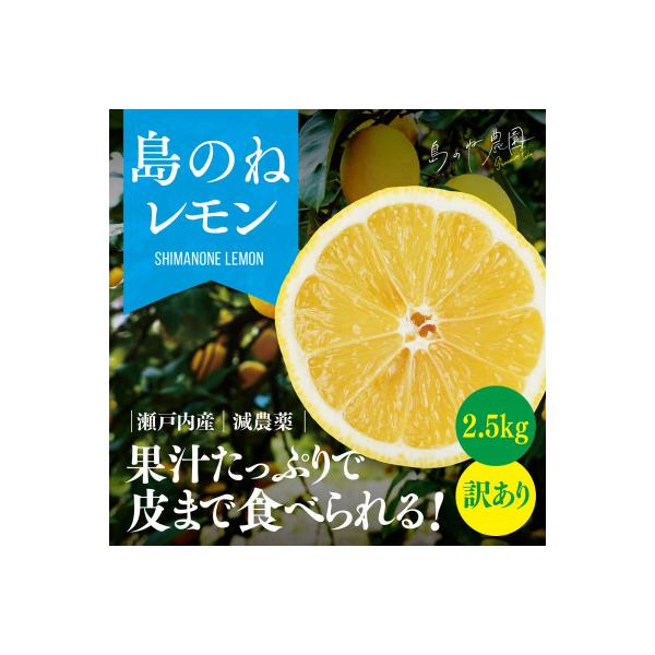 【訳あり】島のねレモン　2.5kg 【K001600】