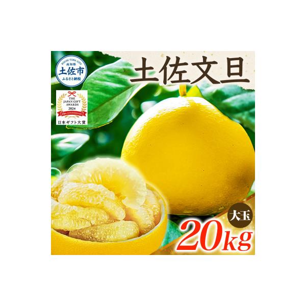 【2027年1月下旬～発送予定】【日本ギフト大賞2024受賞】園主こだわり土佐文旦約20kg