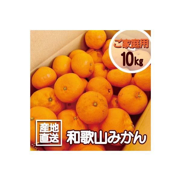【訳あり】和歌山みかん 9.5kg+補償分500g　サイズ混合 11月より順次発送　訳ありみかん