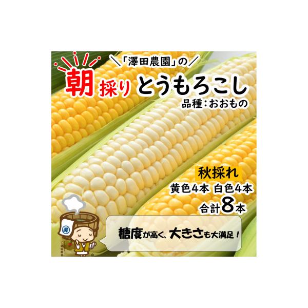 ■お礼品詳細　・配送種別：通常　・提供元：澤田農園■お申し込み・配送・その他　・発送時期：2026-10-01〜2026-11-16(お届け時間帯指定可)　・申込受付期間：〜2026-09-30　・配達外のエリア：離島、北海道、沖縄県　・寄...