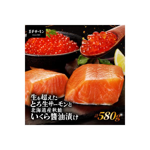 「とろ生サーモン」と北海道産秋鮭「いくら醤油漬け」セット 計580g