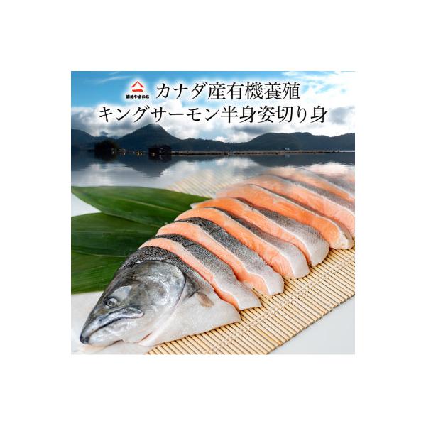 カナダ産キングサーモン半身姿切身 甘塩 1.6kg