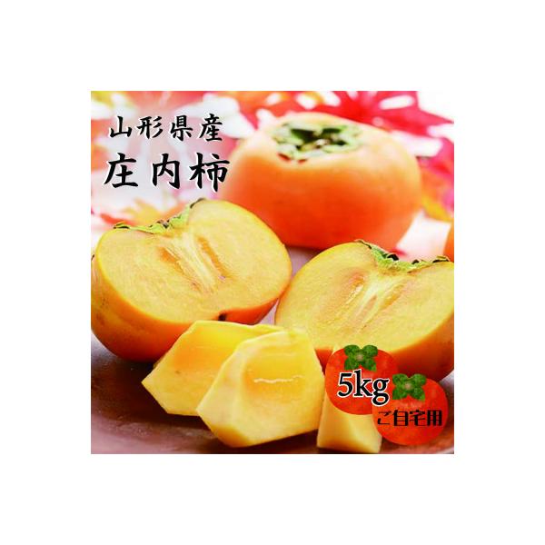 令和8年産 山形県庄内町産 庄内柿 5kg