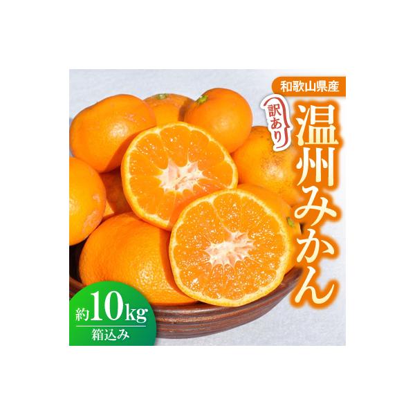 訳ありみかん 約10kg(箱込み)　和歌山県産