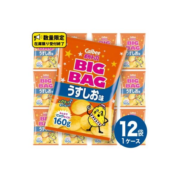 カルビー ポテトチップス BIGBAG うすしお味 1ケース(160g×12袋)