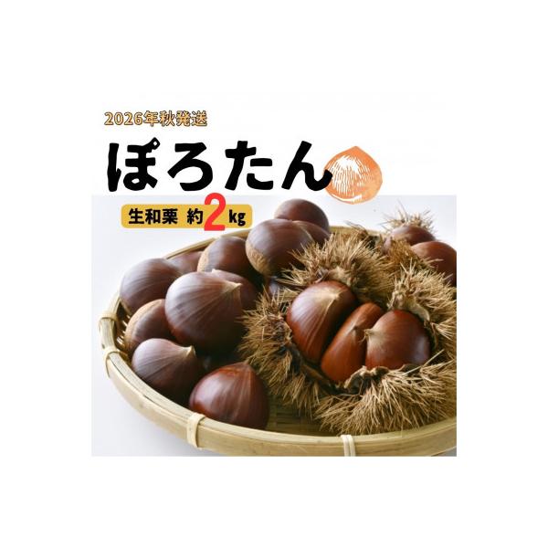 生栗「ぽろたん」約2kg <2026年9月中旬発送>