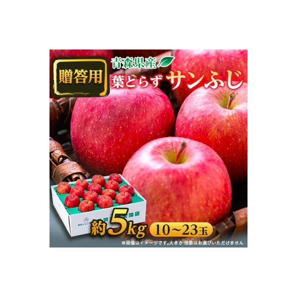 【贈答用にもどうぞ】 青森市産りんご「葉取らずサンふじ」約5kg