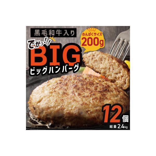 BIG ハンバーグ 200g×12個  010B1597