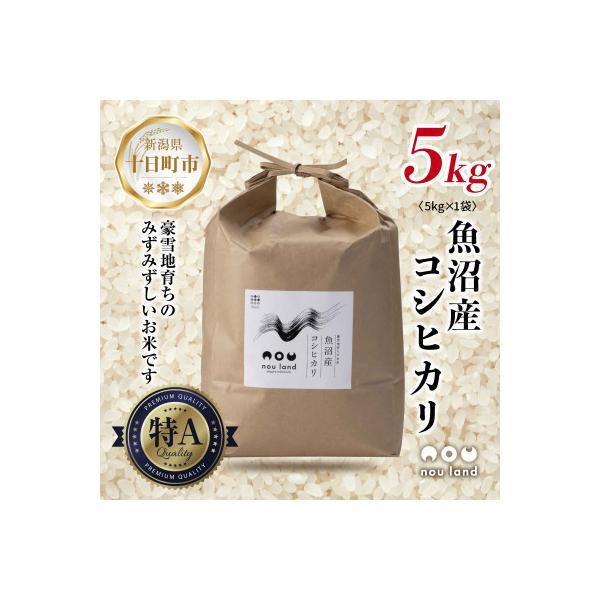 【令和7年産 予約】 農家直送 魚沼産 コシヒカリ 5kg 新潟県 十日町市 のうランド