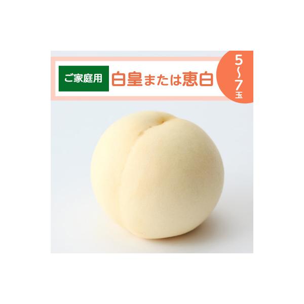 【ご家庭用】岡山白桃「白皇もしくは恵白」5～7玉(2026年8月中旬頃から順次発送予定)