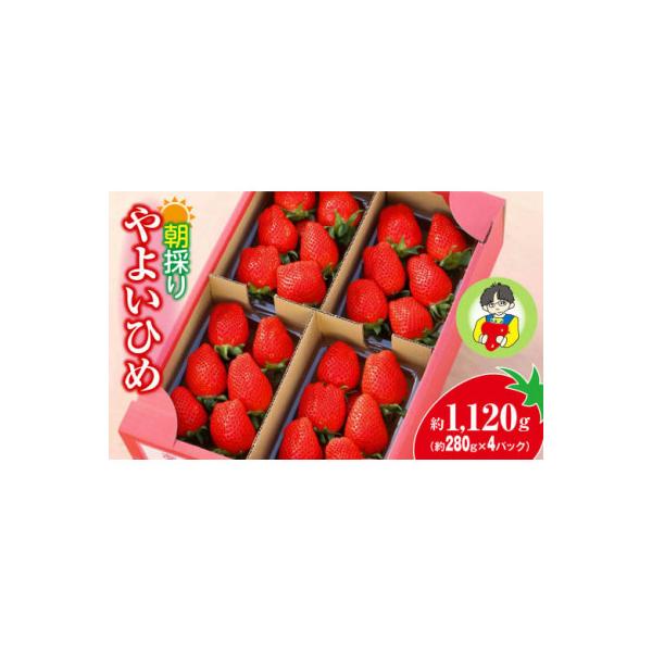 群馬県いちご品評会金賞やよいひめ かなり強い香り、味を皆様のもとへ　約280g×4パック