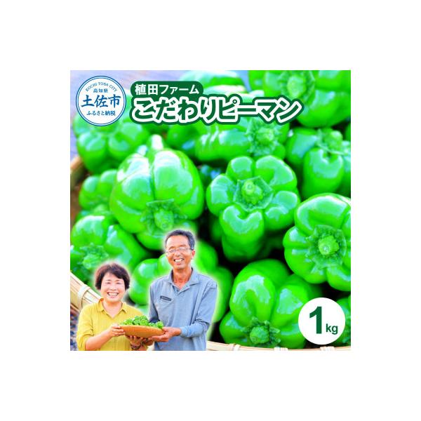 高知県産 植田ファームのこだわりピーマン 1kg