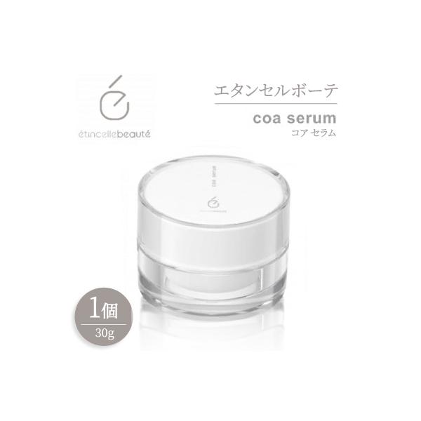 ふるさと納税 半田市 エタンセルボーテ coa serum コア セラム : さと