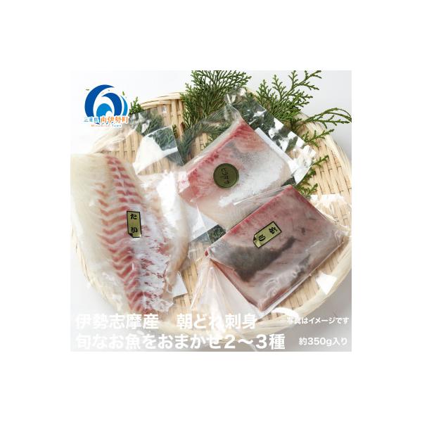 伊勢志摩産 朝どれ新鮮 2～3種 約350g お刺身用 おまかせセット 城水産が真空でお届け