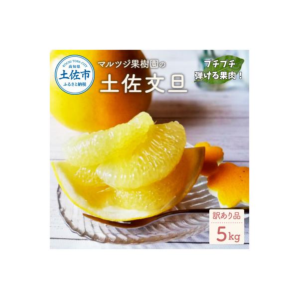 マルツジ果樹園の土佐文旦訳あり品(約5kg)