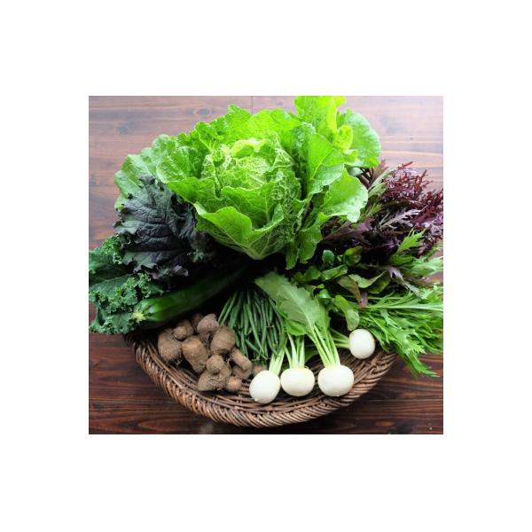 ■お礼品詳細　・配送種別：通常　・提供元：Ｄｖｅｇｅ■お申し込み・配送・その他　・発送時期：2025-12-05〜2026-03-04(お届け時間帯指定可)　・申込受付期間：2025-11-30〜2026-02-25　・配達外のエリア：　・...