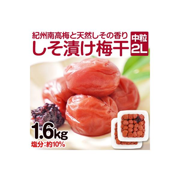 しそ漬け梅干し 1.6kg(紀州南高梅)中粒 2L 和歌山県産