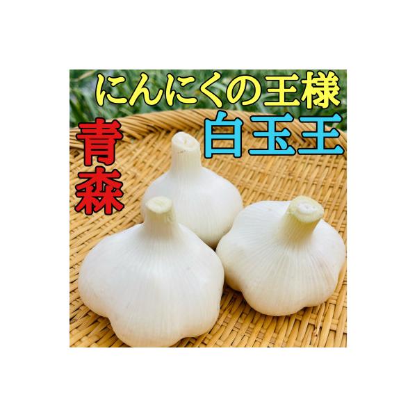 【月1000箱即完売】青森産「にんにくの王様白玉王」5玉(テレビ1泊家族で紹介されました)