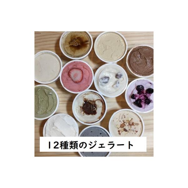 北海道江別ジェラートおまかせ12種類セット<80ml×12個>