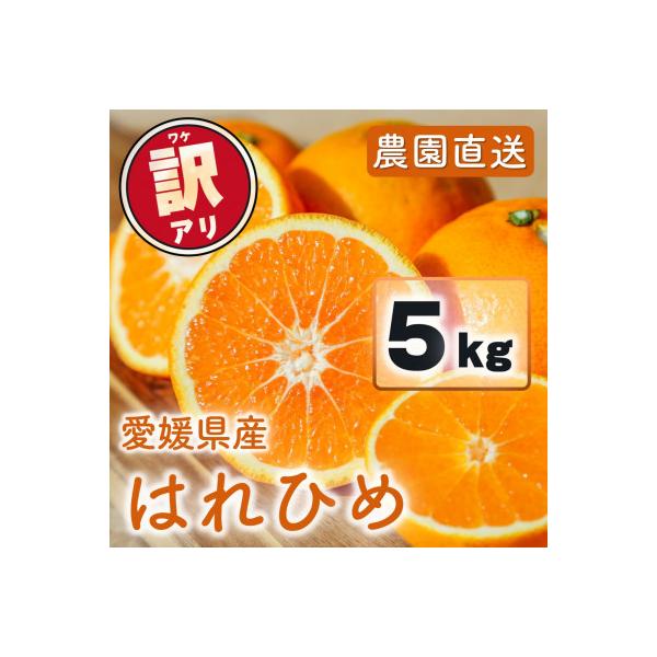 訳あり はれひめ 5kg(40-50個程度)愛媛県 2027年1月発送 家庭用 みかん 晴姫