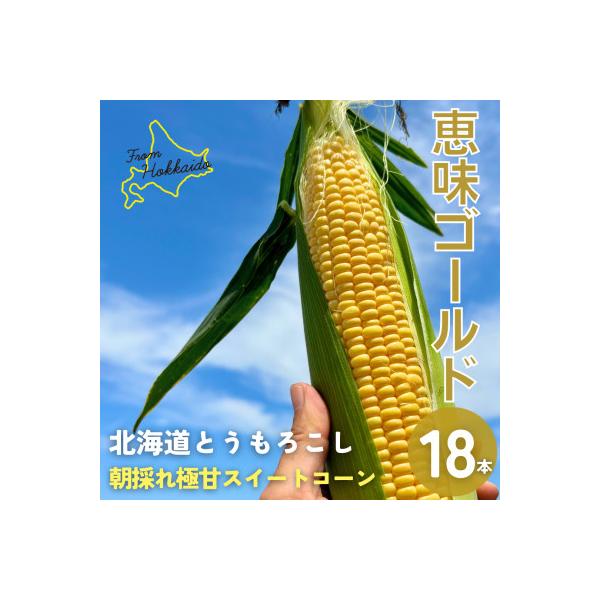 朝もぎ直送|Ambitious Farm　極甘スイートコーン　18本【2026年7月下旬より発送】