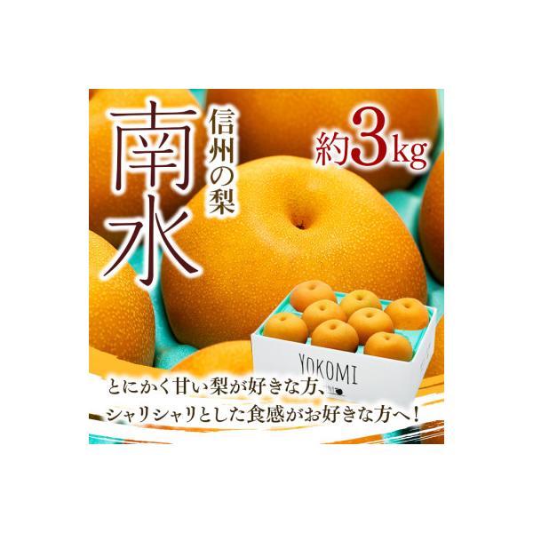 2026年秋!信州の梨【南水】約3kg　信州が生んだ甘い梨!