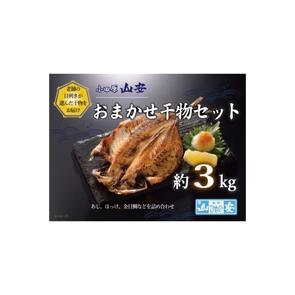 【小田原　山安】おまかせ干物セット　約3kg