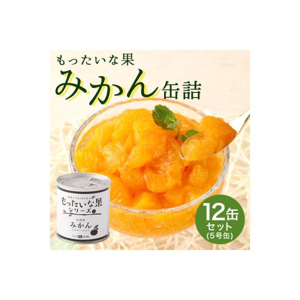 ふるさと納税 八女市 訳あり国産 みかん缶詰 【もったいな果シリーズ