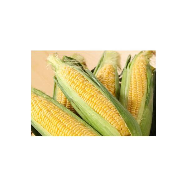 ■お礼品詳細　・配送種別：冷蔵便　・提供元：株式会社ユウエス（宮崎市）■お申し込み・配送・その他　・発送時期：2026-05-01〜2026-07-31(お届け時間帯指定可)　・申込受付期間：〜2026-06-30　・配達外のエリア：離島　...