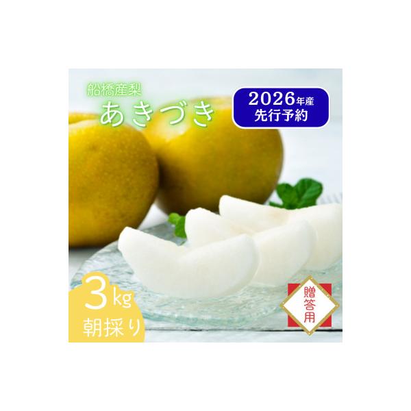 船橋の梨 「あきづき」 3kg 【贈答用】なし 令和8年9月上中旬より順次発送 甘い旬の梨を産地直送