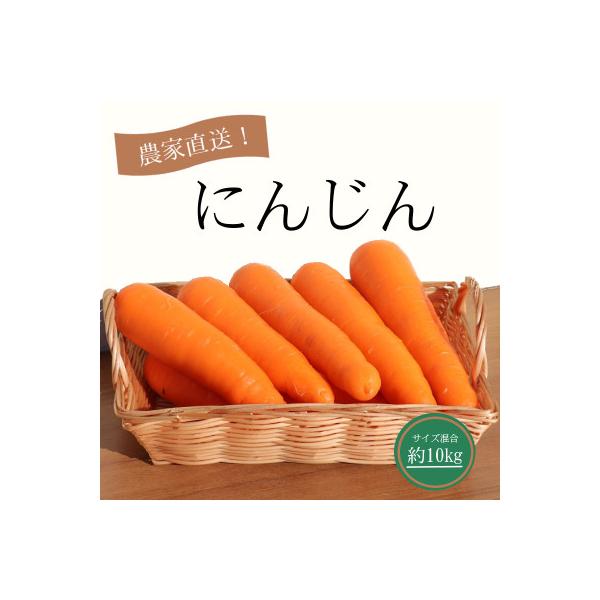 ■お礼品詳細　・配送種別：通常　・提供元：にんじんファームプロジェクト■お申し込み・配送・その他　・発送時期：2025-12-10〜2026-02-28(お届け時間帯指定可)　・申込受付期間：〜2026-02-06　・配達外のエリア：離島、...