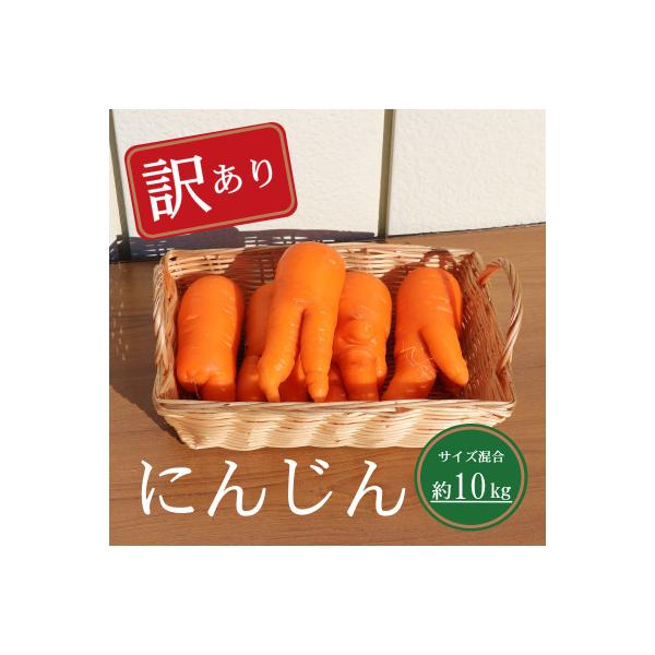 【訳あり】にんじん約10kg