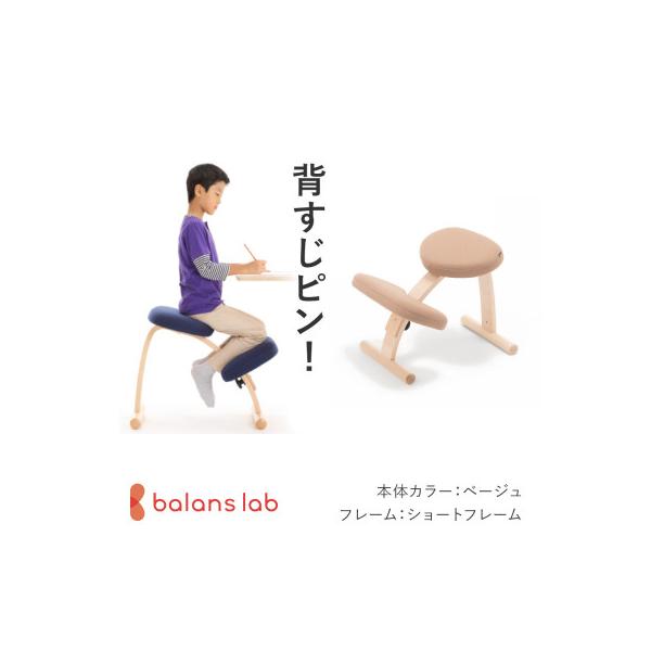 ふるさと納税 美濃市 バランス イージー ショートフレーム バランス