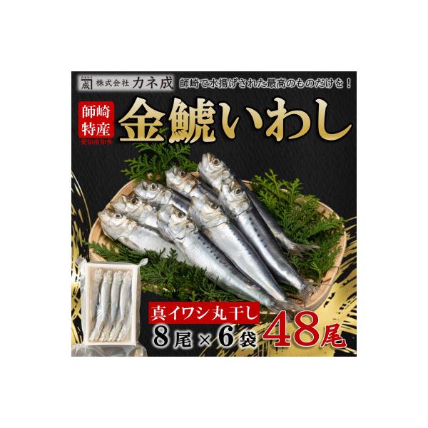 いわし丸干し 48尾(8尾×6パック) 冷凍 小分け カネ成の金鯱いわし 干物