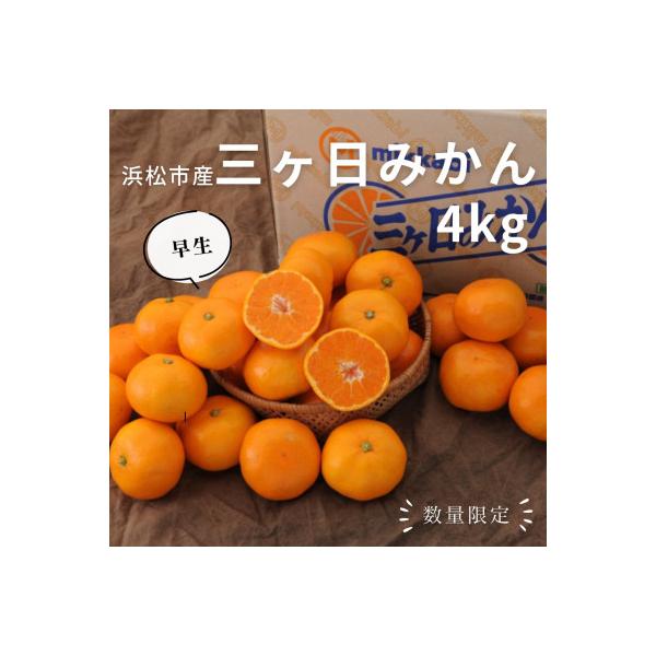 【2026年先行受付】静岡三ヶ日みかん 約4kg MまたはLサイズ【早生品種】