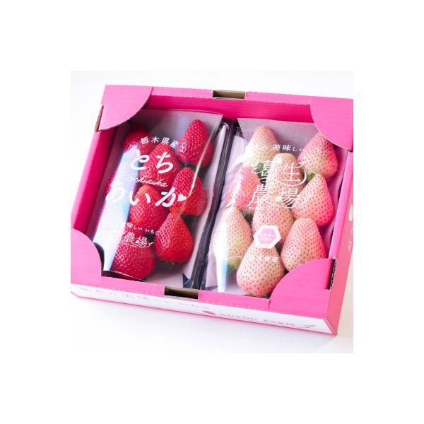 紅白いちご(とちあいか、ミルキーベリー)大粒 詰め合わせ(300g×1パックずつ)