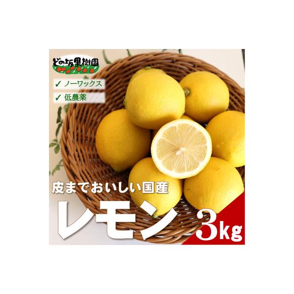 【ノーワックス】国産 紀州 レモン 約3kg(サイズおまかせ)