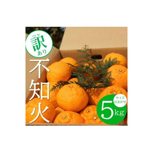 不知火しらぬい 2枚目