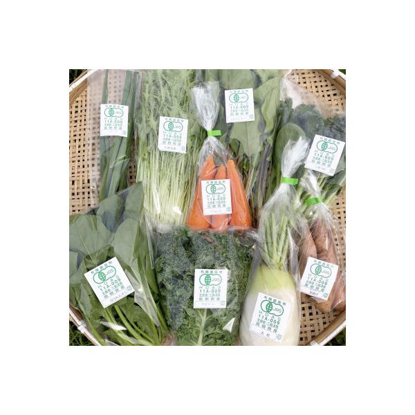 ■お礼品詳細　・配送種別：冷蔵便　・提供元：株式会社三島ファーム（野菜）■お申し込み・配送・その他　・発送時期：2024/03/14から順次発送 ※2024/03/14以降のお申し込みは2週間程度で発送いたします。(お届け時間帯指定可)　・...