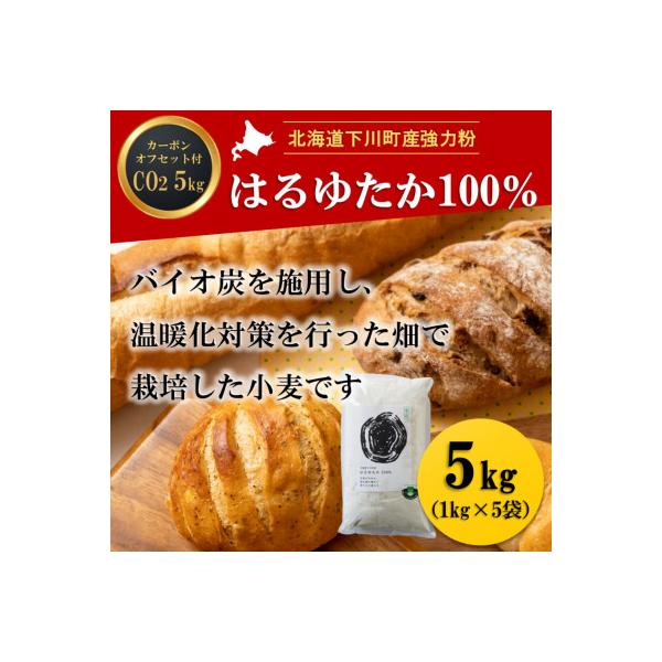 北海道下川町産はるゆたか100%(強力粉) バイオ炭施用 カーボン・オフセット付 5kg