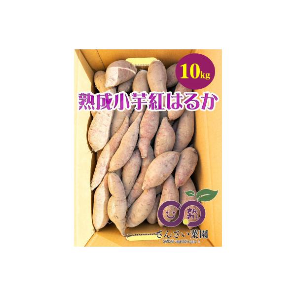 下妻市産　熟成小芋さつまいも　紅はるか　【訳アリ】10kg