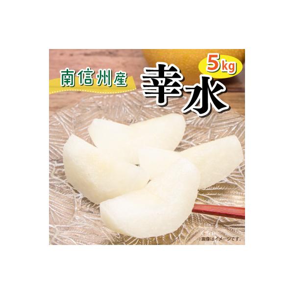 【豊丘村】8月中旬より順次発送! 南信州で育った幸水 約5kg(箱入)