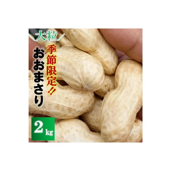 【先行予約】2026年8月下旬より順次発送【訳あり】安西農園の大粒生落花生「おおまさり」 2kg