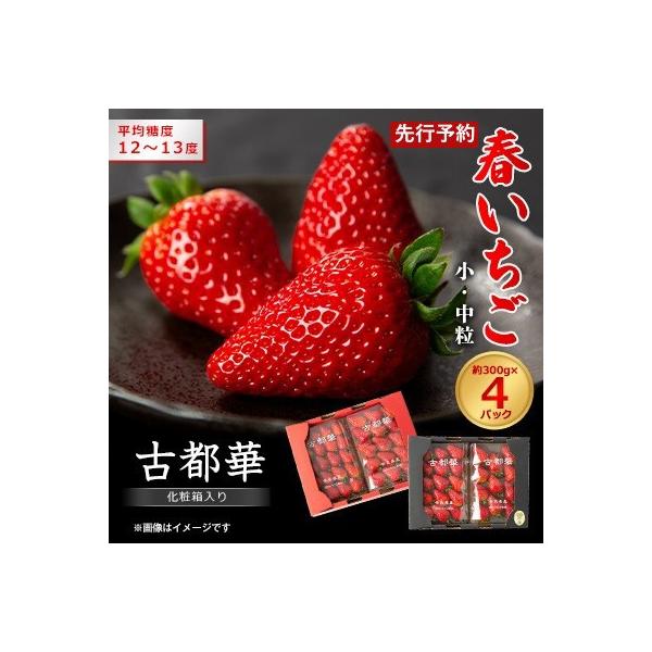 令和9年度　春いちご　古都華　約300g×4パック　合計約1200g
